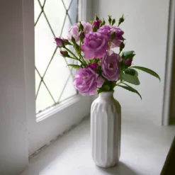 Rise Up Lilac Days™ Climbing Rose -Great Garden Plants Shop RosaRiseUpLilacDaysP1173972 800x800 2fcb2d6